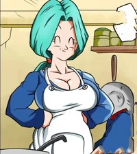 Bulma del futuro 