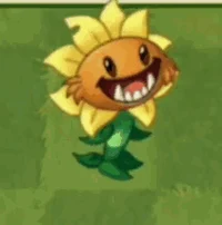 Primal Sunflower
