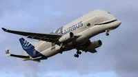 Beluga airbus