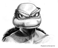 raphael hamato 