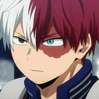 Shoto Todoroki 
