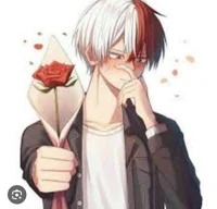 shoto todoroki