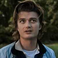 Steve Harrington 