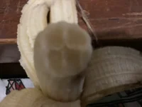 Terrified banana