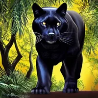 Black panther