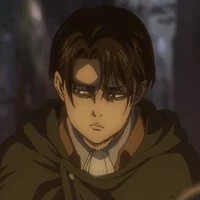 Levi ackerman 
