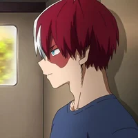 Shoto Todoroki 