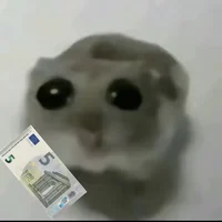 Average School Bully