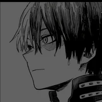 Shoto Todoroki