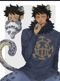 Trafalgar D Law