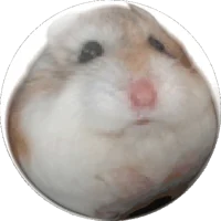 MY_CRAZY_HAMSTER