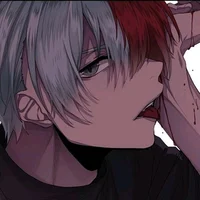 Traider Todoroki 