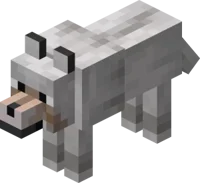 Minecraft Pale Wolf