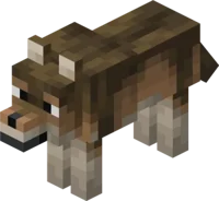 Woods Wolf