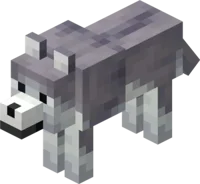 Ashen Wolf