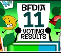 BFDIA 11 Voting Rt
