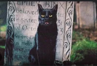 Thackery Binx