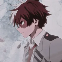 Shoto Todoroki 