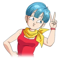 Bulma briefs