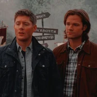 THE WINCHESTERS