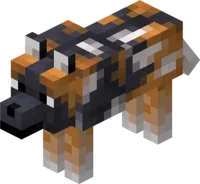 Spotted Wolf