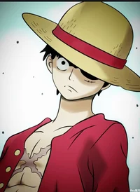 Monkey D Luffy