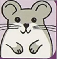 Hado Hampster