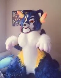 Female fursuiter