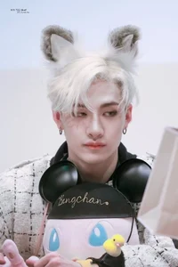 Bang Chan Wolf 