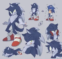 Sonic The Werehog ED