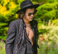 Harry Styles lawyer