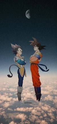 Goku and Vegeta