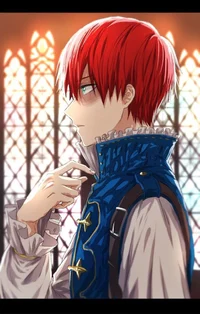 Shoto Todoroki 