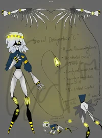 Serial Designation C