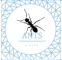 Ant life