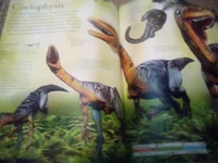 Coelophysis