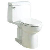 Home Toilet