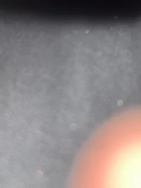 HASHIRA GO TO SCHOOL