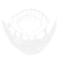 R-370 - DR