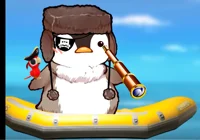 pirate penguin
