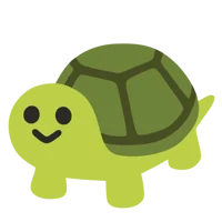 Pet Turtle