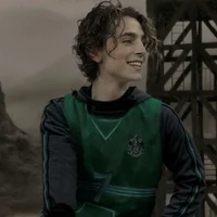 Regulus Black