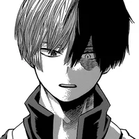 Shoto Todoroki 