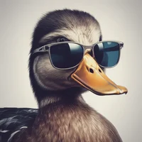 Duckiscool389