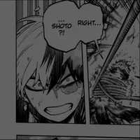 Shoto Todoroki