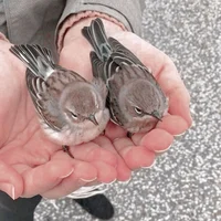 00 Requests and Info