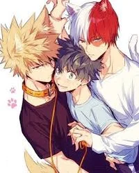Todobaku and deku 