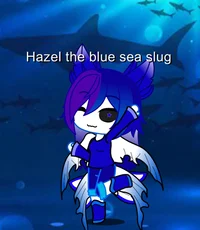 Hazel blue sea slug