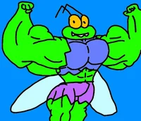Buff Mike the Fly