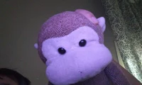 Mishka monkey 